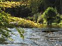 2011-10-03, Seifersdorf (18)